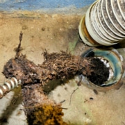 clogged sewer line