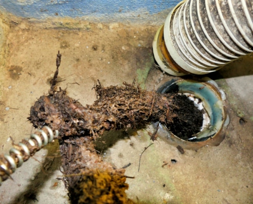 clogged sewer line