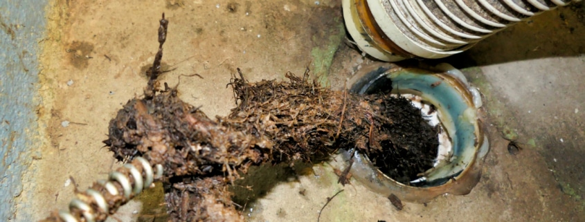 clogged sewer line