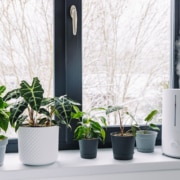 home feels stuffy in winter