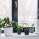 home feels stuffy in winter