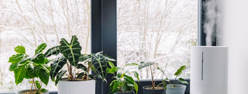 home feels stuffy in winter